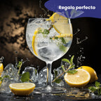 Copa Gin Tonic personalizada