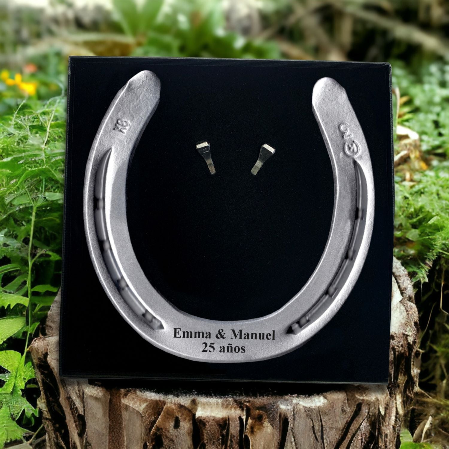 Herradura de suerte personalizada